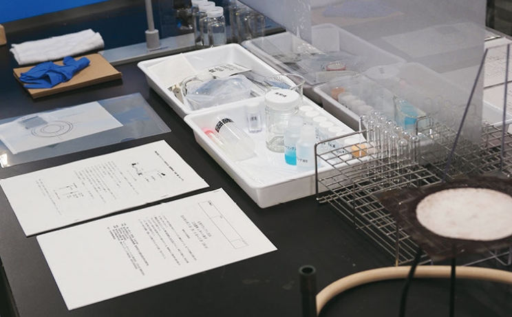 フォトギャラリー