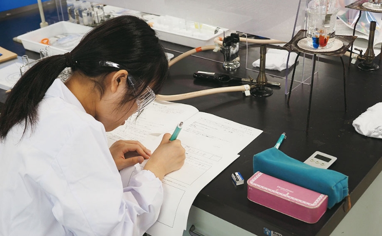 フォトギャラリー