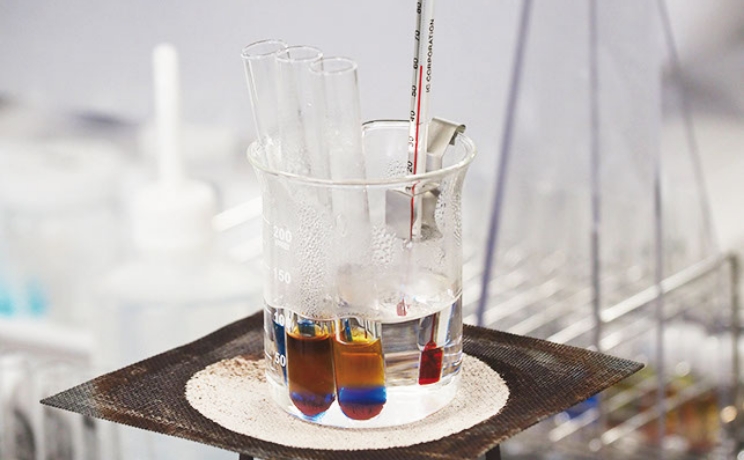 フォトギャラリー