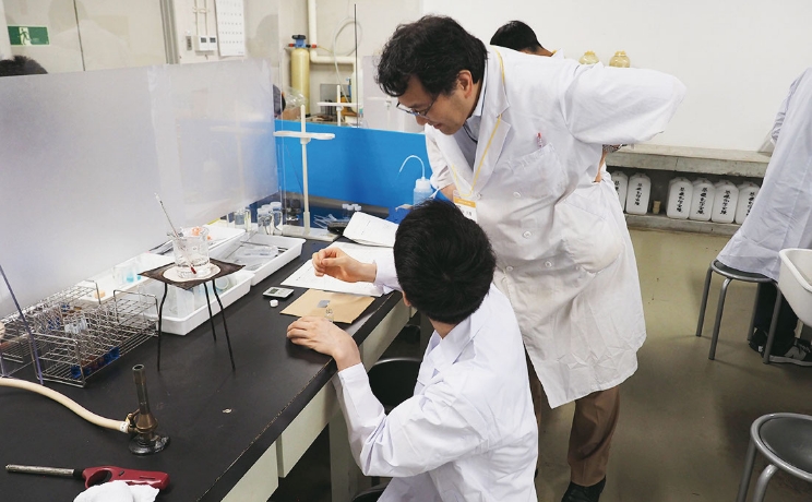 フォトギャラリー