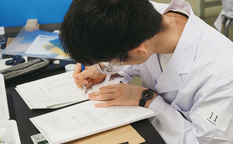 フォトギャラリー