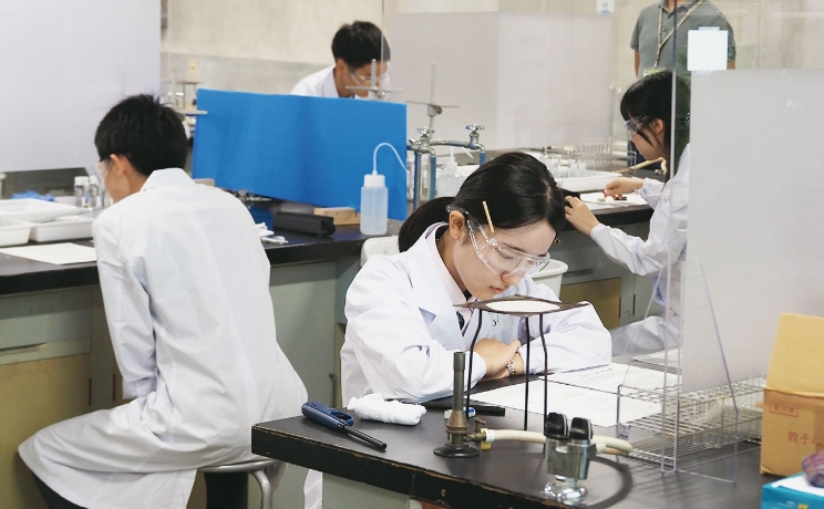 フォトギャラリー