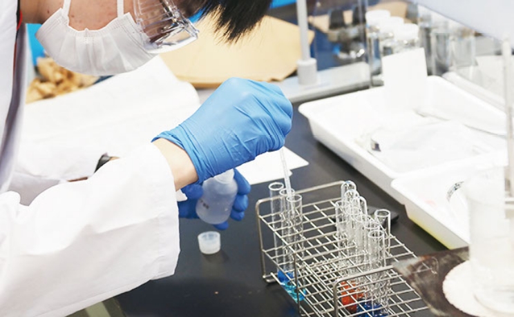 フォトギャラリー