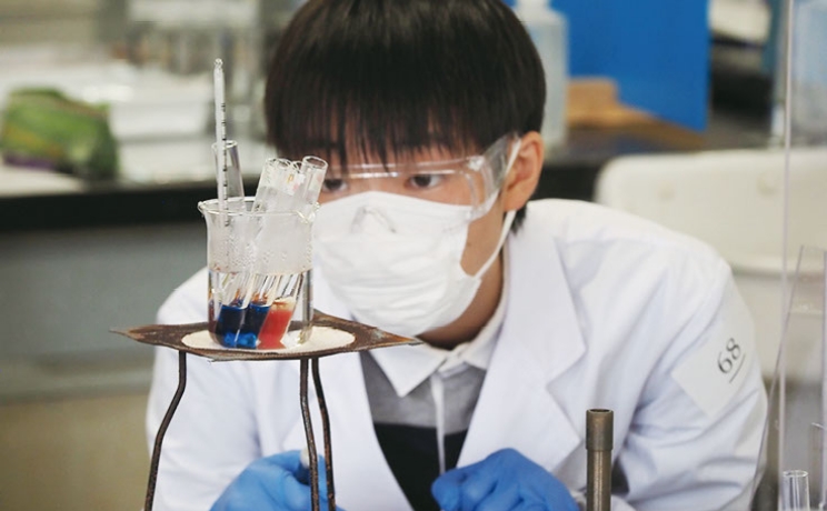 フォトギャラリー