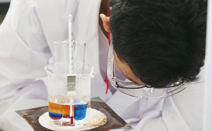 フォトギャラリー