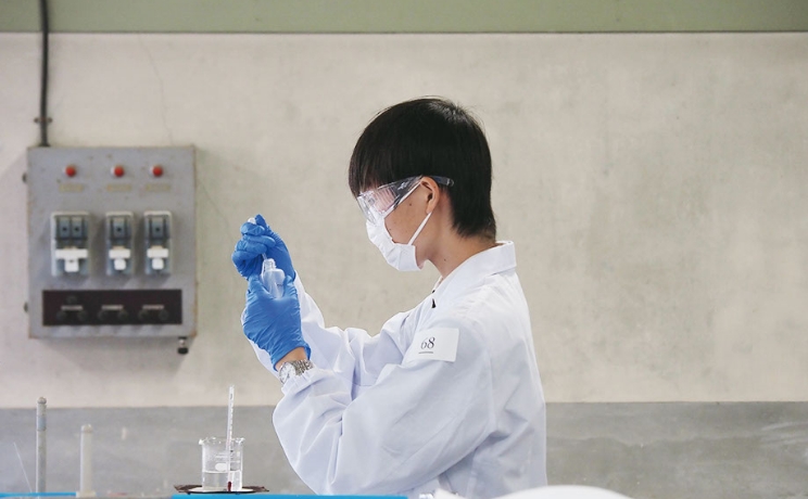 フォトギャラリー