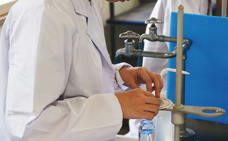 フォトギャラリー