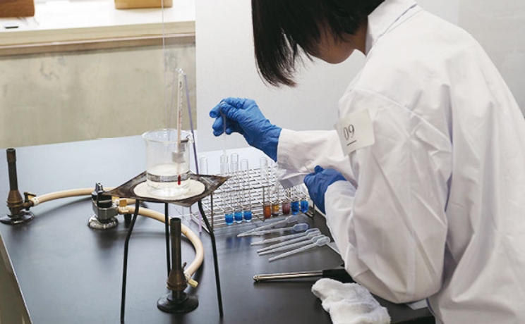 フォトギャラリー