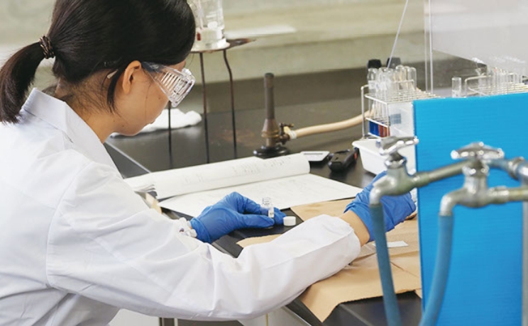 フォトギャラリー