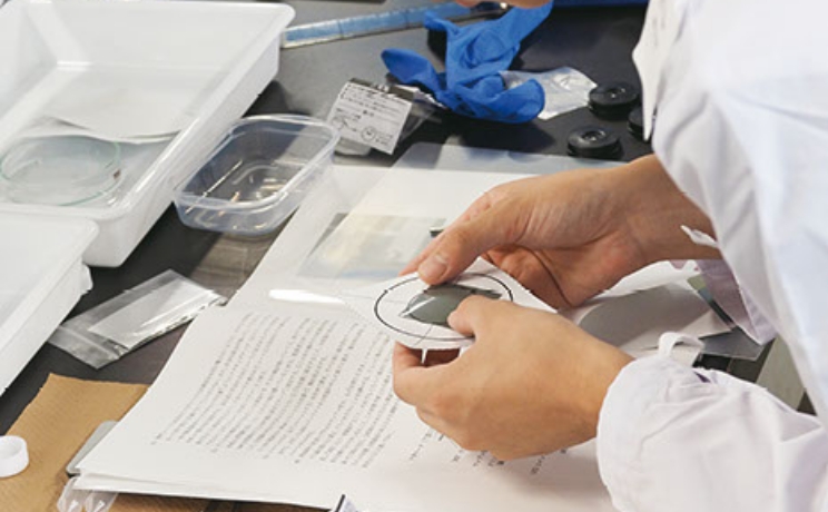 フォトギャラリー