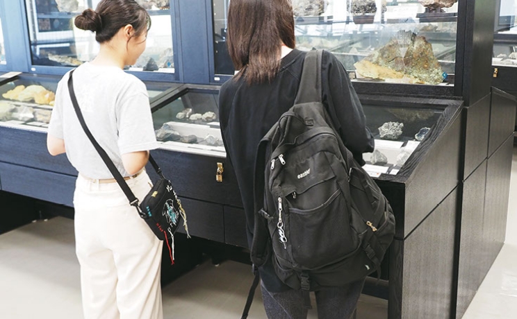 フォトギャラリー