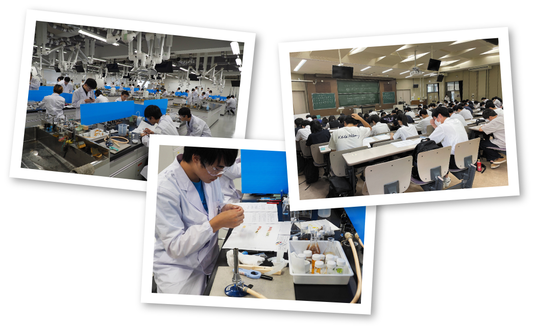 フォトギャラリー